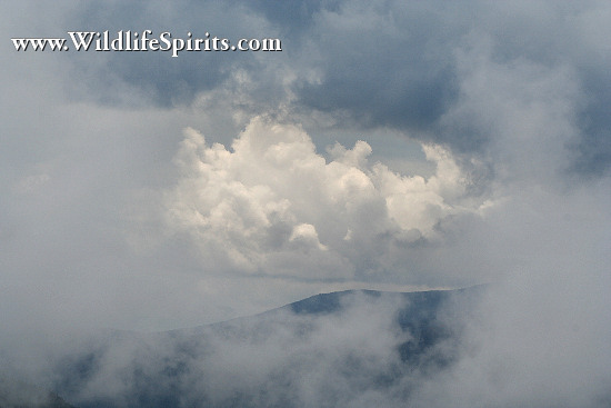 Click Picture to send as an  E-PostCard 63k 550x367